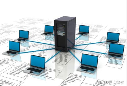 計(jì)算機(jī)網(wǎng)絡(luò)技術(shù)專(zhuān)業(yè) 聚焦軟硬件開(kāi)發(fā)，解鎖熱門(mén)就業(yè)方向與廣闊前景